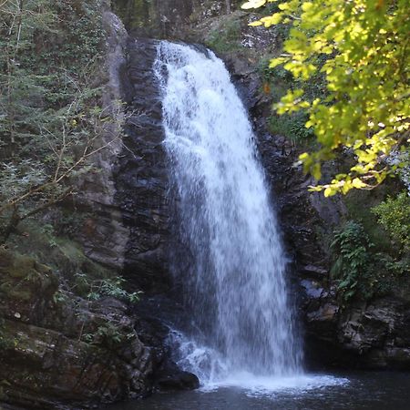 Gite De La Genevriere Saint-Chamant Bagian luar foto